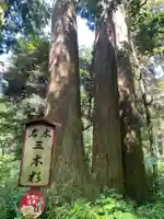 笠森寺の自然