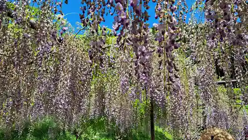天台宗 五大山 白毫寺(兵庫県)