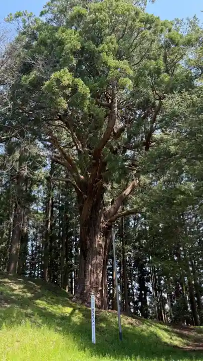 表刀神社(宮城県)