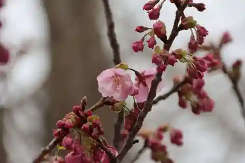 阿邪訶根神社の自然