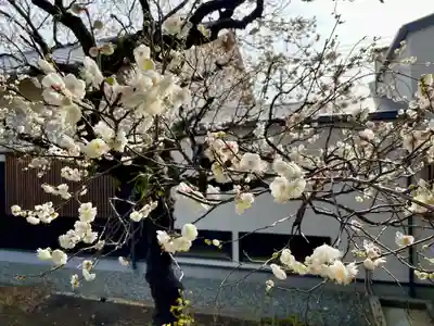 福泉寺(神奈川県)