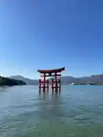 厳島神社の{uncategorized: "未分類", other: "その他", undefined: "問題あり", building: "その他建物", grave: "お墓", sacred_gate: "鳥居", guardian: "狛犬", statue: "像", buddha: "仏像", history: "歴史", nature: "自然", garden: "庭園", animal: "動物", pagoda: "塔", temizu: "手水舎", mountain_gate: "山門・神門", sanctuary: "本殿・本堂", subordinate: "末社・摂社", art: "芸術", scenery: "景色", jizo: "地蔵", ema: "絵馬", goshuin: "御朱印", omikuji: "おみくじ", items: "授与品その他", amulet: "お守り", goshuincho: "御朱印帳", eats: "食事", festival: "お祭り", votive_dance: "神楽", shichigosan: "七五三参", wedding: "結婚式", experience: "体験その他", initially: "初詣", around: "周辺", anti_infection: "感染症対策"}
