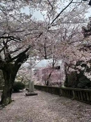 宇都宮二荒山神社の{uncategorized: "未分類", other: "その他", undefined: "問題あり", building: "その他建物", grave: "お墓", sacred_gate: "鳥居", guardian: "狛犬", statue: "像", buddha: "仏像", history: "歴史", nature: "自然", garden: "庭園", animal: "動物", pagoda: "塔", temizu: "手水舎", mountain_gate: "山門・神門", sanctuary: "本殿・本堂", subordinate: "末社・摂社", art: "芸術", scenery: "景色", jizo: "地蔵", ema: "絵馬", goshuin: "御朱印", omikuji: "おみくじ", items: "授与品その他", amulet: "お守り", goshuincho: "御朱印帳", eats: "食事", festival: "お祭り", votive_dance: "神楽", shichigosan: "七五三参", wedding: "結婚式", experience: "体験その他", initially: "初詣", around: "周辺", anti_infection: "感染症対策"}