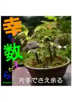 耕田院(山形県)