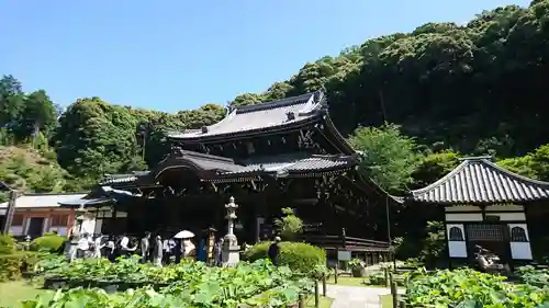 三室戸寺の景色