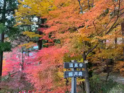 温泉寺(岐阜県)