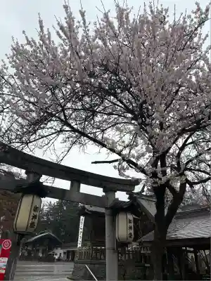 盛岡八幡宮(岩手県)