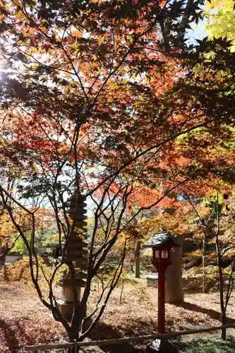 淨眞寺(東京都)