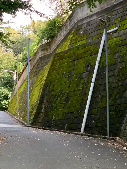 諏訪神社(神奈川県)