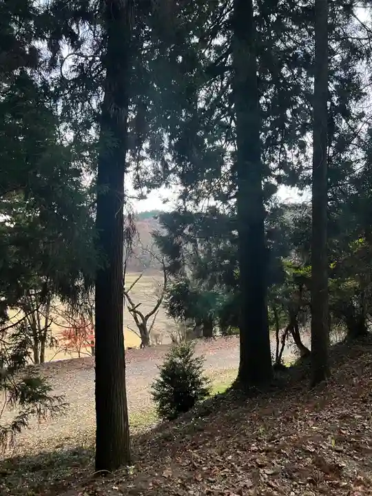 大宮温泉神社(栃木県)