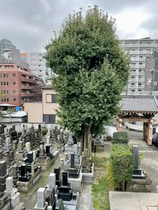 甚行寺(神奈川県)