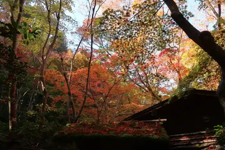 祇王寺(京都府)