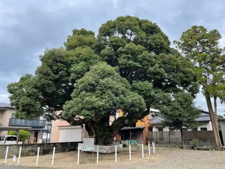 川俣神社の自然
