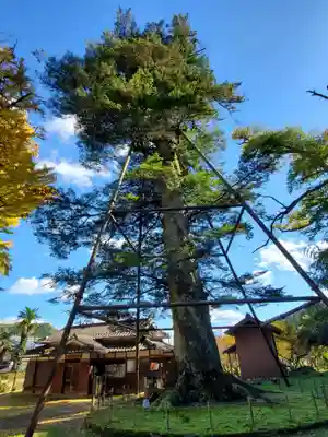 追手神社の自然