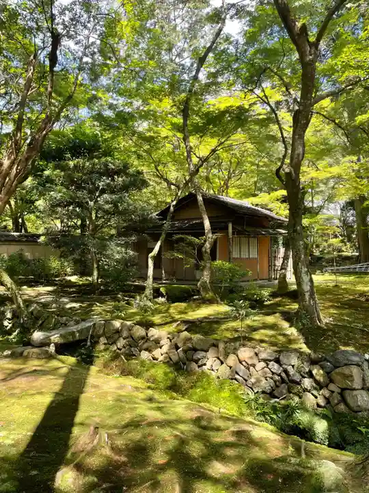 西芳寺(京都府)