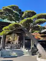 長谷寺の山門・神門