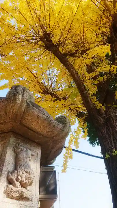 十二所社の狛犬