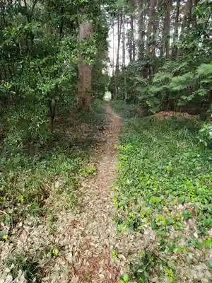 安房神社の周辺