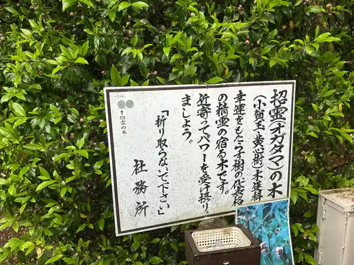 息栖神社の{uncategorized: "未分類", other: "その他", undefined: "問題あり", building: "その他建物", grave: "お墓", sacred_gate: "鳥居", guardian: "狛犬", statue: "像", buddha: "仏像", history: "歴史", nature: "自然", garden: "庭園", animal: "動物", pagoda: "塔", temizu: "手水舎", mountain_gate: "山門・神門", sanctuary: "本殿・本堂", subordinate: "末社・摂社", art: "芸術", scenery: "景色", jizo: "地蔵", ema: "絵馬", goshuin: "御朱印", omikuji: "おみくじ", items: "授与品その他", amulet: "お守り", goshuincho: "御朱印帳", eats: "食事", festival: "お祭り", votive_dance: "神楽", shichigosan: "七五三参", wedding: "結婚式", experience: "体験その他", initially: "初詣", around: "周辺", anti_infection: "感染症対策"}