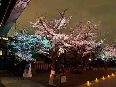靖國神社(東京都)