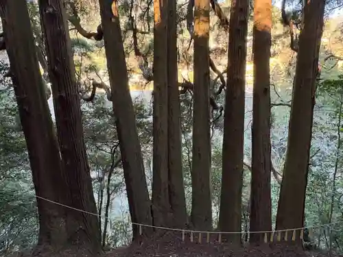 天岩戸神社(宮崎県)