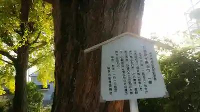 祐専寺のその他建物