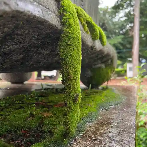 手力雄神社の自然