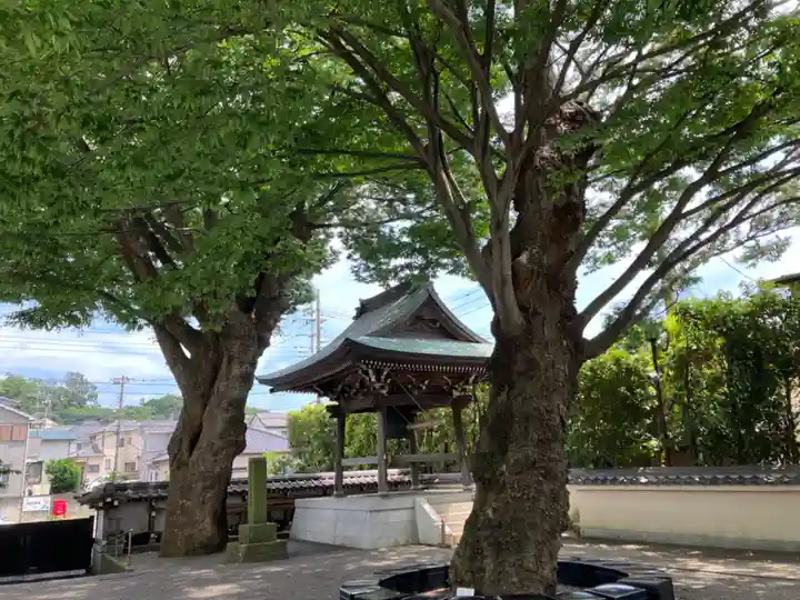 宗仲寺のその他建物