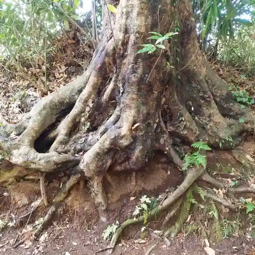 椿神社のお守り