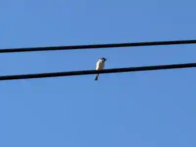 西方山極楽寺(岐阜県)