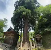 大生部兵主神社(兵庫県)