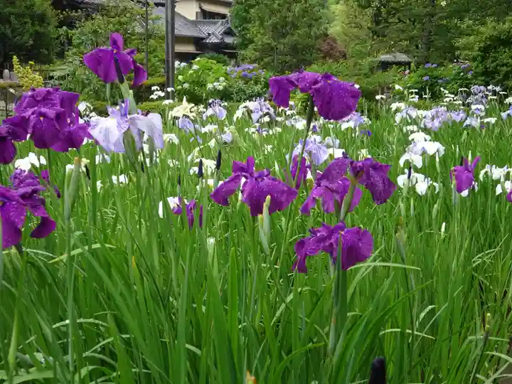 天台宗 長窪山 正覚寺の自然