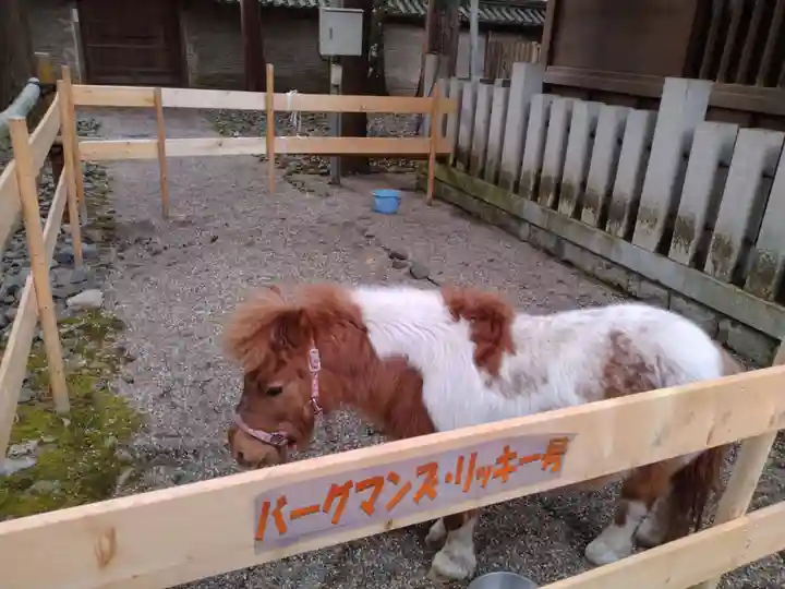 多田神社(兵庫県)