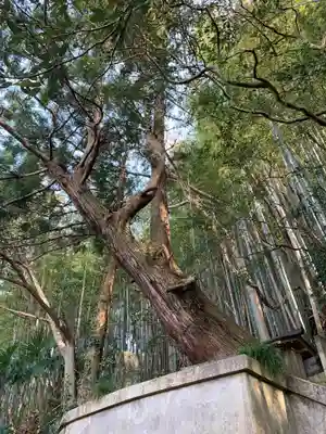 波除不動尊(千葉県)