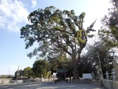 曽禰神社の自然