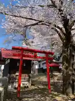 飯笠山神社(長野県)