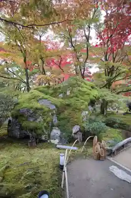 宝厳院(京都府)