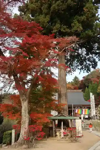 観音正寺(滋賀県)