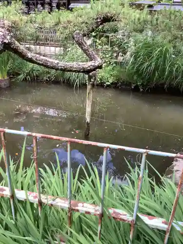 猿投神社の庭園