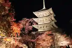 東寺（教王護国寺）(京都府)