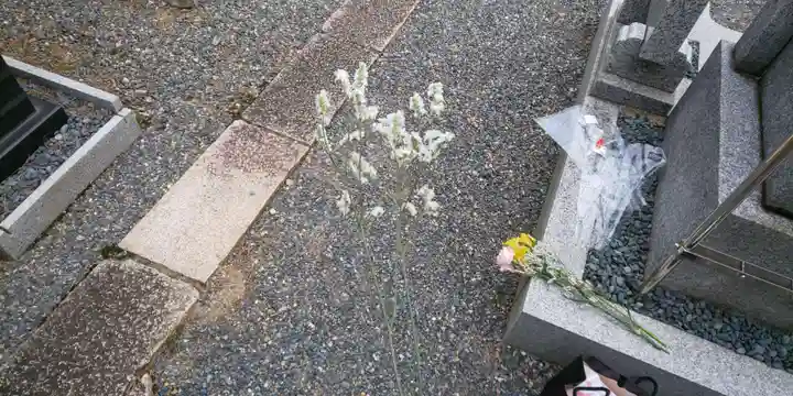 大徳寺(京都府)