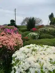 永徳寺(群馬県)