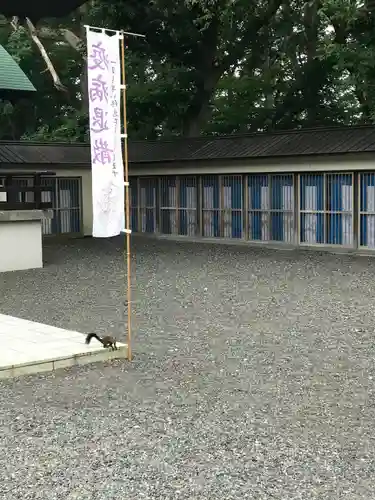 千歳神社の動物
