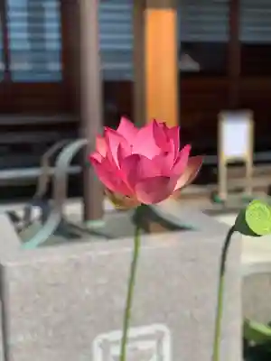 上行寺(静岡県)