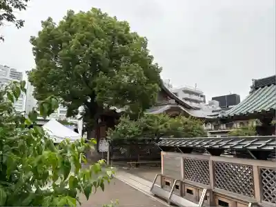 湯島天満宮(東京都)