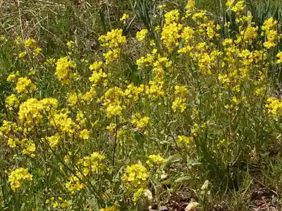 鷲宮神社(埼玉県)
