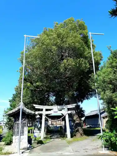 服織神社の鳥居