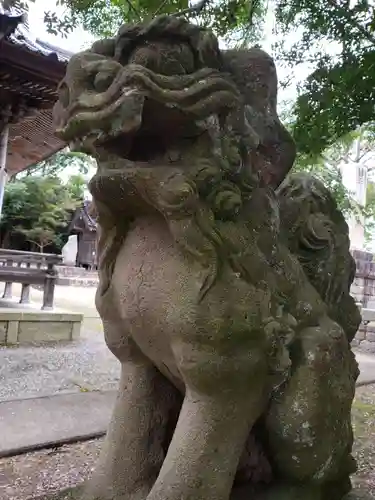 額神社の狛犬