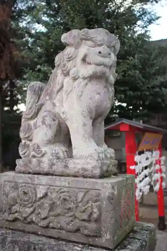 坂戸神社の狛犬