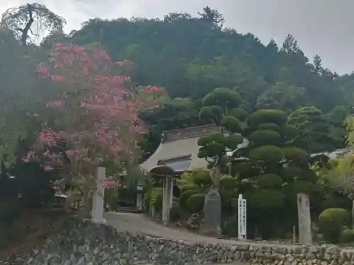 梅岩寺(東京都)